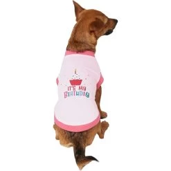 Frisco It's My Birthday Dog & Cat T-Shirt, Pink -Frisco 249255 PT2. AC SS1800 V1624608150