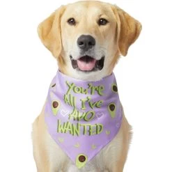 Frisco You're All I've Avo Wanted Dog & Cat Bandana 11 Frisco You're All I've Avo Wanted Dog & Cat Bandana -Frisco 249292 PT2. AC SS1800 V1637723806