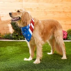 Frisco Stars & Stripes Dog & Cat Bandana 15 Frisco Stars & Stripes Dog & Cat Bandana -Frisco 249329 PT5. AC SS1800 V1632433280