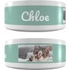 Frisco Playful Kitty Ceramic Personalized Cat Bowl, 1-cup, 8oz 1 Frisco Playful Kitty Ceramic Personalized Cat Bowl, 1-cup, 8oz -Frisco 250841 MAIN. AC SS1800 V1602625886