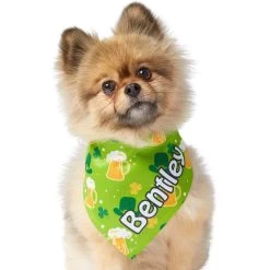 Frisco Green Ale Personalized Dog & Cat Bandana -Frisco 254207 PT6. AC SS1800 V1618509755