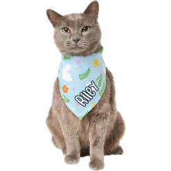 Frisco Easter Bunny Personalized Dog & Cat Bandana -Frisco 254211 PT7. AC SS1800 V1618510982