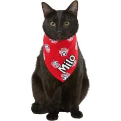 Frisco Patriotic Paws Personalized Dog & Cat Bandana -Frisco 254243 PT7. AC SS1800 V1619559130