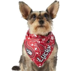 Frisco Paisley Printed Personalized Dog & Cat Bandana 17 Frisco Paisley Printed Personalized Dog & Cat Bandana -Frisco 254247 PT6. AC SS1800 V1618507975