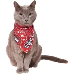 Frisco Paisley Printed Personalized Dog & Cat Bandana 18 Frisco Paisley Printed Personalized Dog & Cat Bandana -Frisco 254247 PT7. AC SS1800 V1618508211