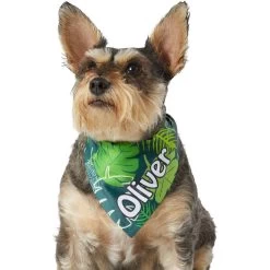 Frisco Tropical Palms Personalized Dog & Cat Bandana -Frisco 254259 PT6. AC SS1800 V1632425201