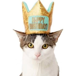 Frisco Happy Birthday Dog & Cat Crown & Frisco Dog & Cat Birthday Bandana -Frisco 255523 PT2. AC SS1800 V1603716120