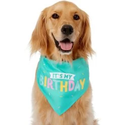 Frisco Happy Birthday Dog & Cat Crown & Frisco Dog & Cat Birthday Bandana -Frisco 255523 PT3. AC SS1800 V1603716114