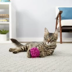 Frisco Moppy Ball Cat Toy With Catnip & Sentry Petrodex Veterinary Strength Enzymatic Malt Flavor Cat Dental Kit -Frisco 255587 PT2. AC SS1800 V1603545392