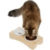 Frisco Double Elevated Cat Bowl With Wood Stand