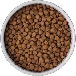 Frisco Kaleidoscope Pattern Non-skid Ceramic Dog & Cat Bowl -Frisco 256090 PT5. AC SS1800 V1615312887