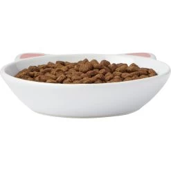 Frisco Cat Face Non-skid Ceramic Cat Dish -Frisco 256105 PT3. AC SS1800 V1615321286