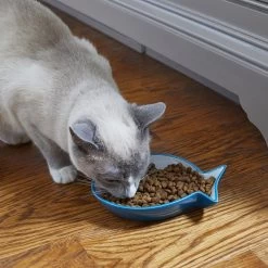 Frisco Fish Shaped Non-skid Ceramic Cat Dish 12 Frisco Fish Shaped Non-skid Ceramic Cat Dish -Frisco 256109 PT3. AC SS1800 V1617196297