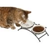 Frisco Cat Face Non-skid Elevated Double Ceramic Cat Bowl 2 Frisco Cat Face Non-skid Elevated Double Ceramic Cat Bowl -Frisco 256113 MAIN. AC SS1800 V1616522219