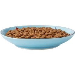 Frisco New York Non-skid Ceramic Cat Dish -Frisco 256119 PT5. AC SS1800 V1618494742
