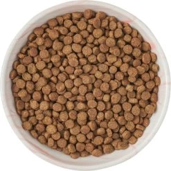 Frisco Marble Design Non-skid Ceramic Cat Bowl -Frisco 256125 PT5. AC SS1800 V1615311382