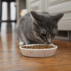 Frisco Marble Design Non-skid Ceramic Cat Bowl -Frisco 256125 PT6. AC SS1800 V1617037714