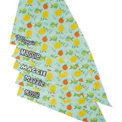 Frisco Citrus Personalized Dog & Cat Bandana -Frisco 258758 PT4. AC SS1800 V1619558899