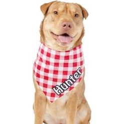 Frisco Gingham Personalized Dog & Cat Bandana 17 Frisco Gingham Personalized Dog & Cat Bandana -Frisco 258775 PT6. AC SS1800 V1619558303