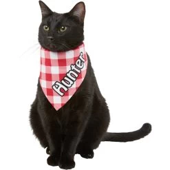Frisco Gingham Personalized Dog & Cat Bandana 18 Frisco Gingham Personalized Dog & Cat Bandana -Frisco 258775 PT7. AC SS1800 V1619558565
