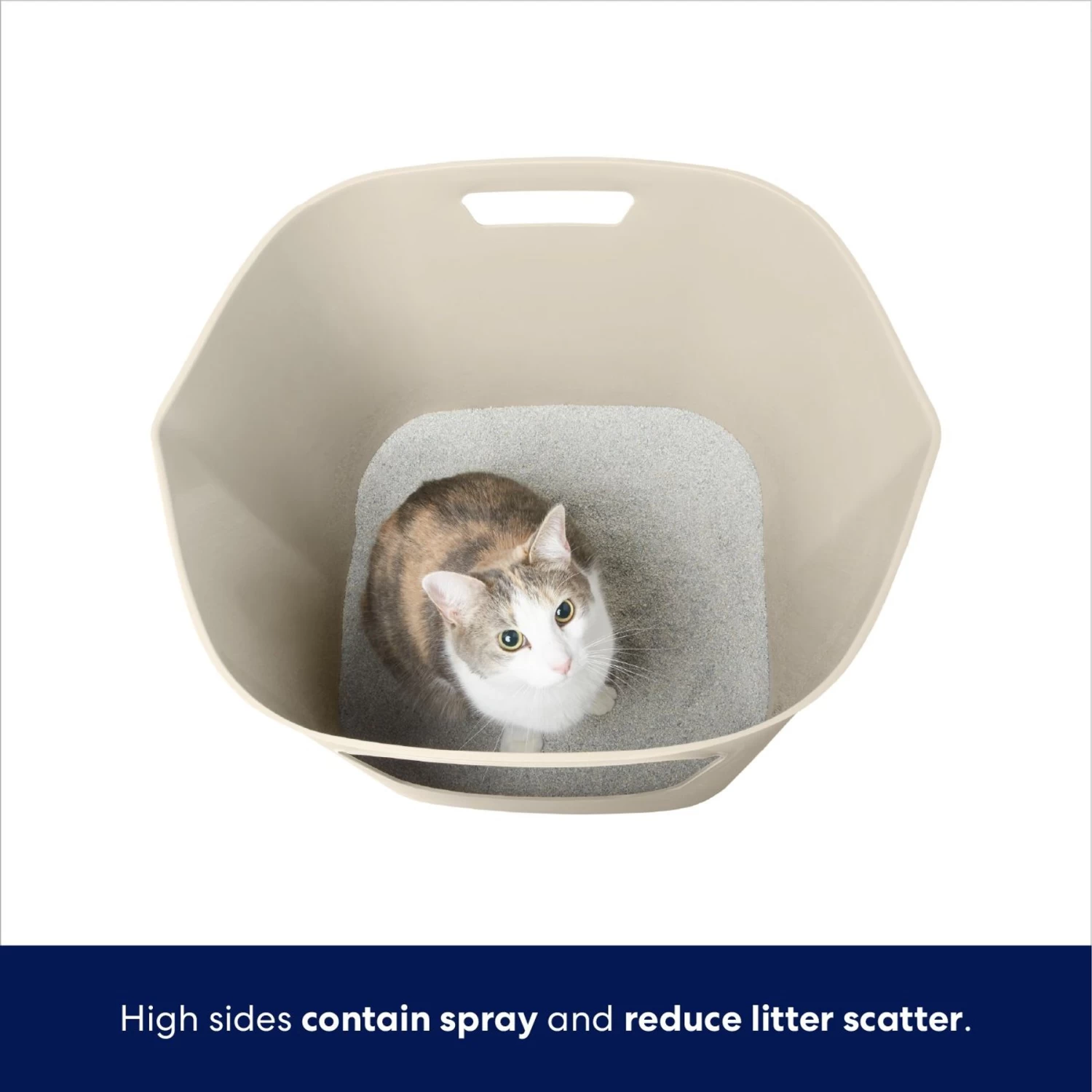 Frisco Leaf High-Sided Cat Litter Box, Large 5 Frisco Leaf High-Sided Cat Litter Box, Large - Image 3