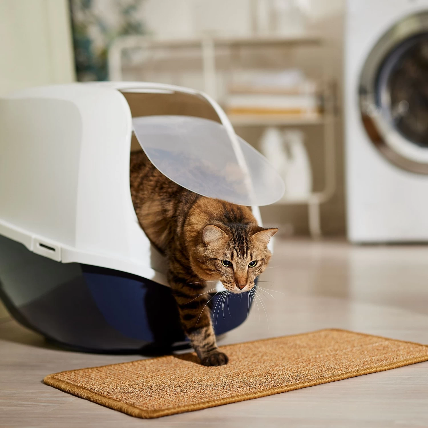 Frisco Sisal Mat 6 Frisco Sisal Mat - Image 4