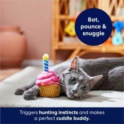 Frisco Birthday Cupcake Plush Cat Toy With Refillable Catnip -Frisco 264456 PT5. AC SS1800 V1691785246
