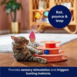 Frisco Birthday Cat Tracks Cat Toy -Frisco 264460 PT5. AC SS1800 V1691785246