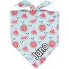 Frisco Watermelons Personalized Dog & Cat Bandana -Frisco 267458 MAIN. AC SS1800 V1632674774