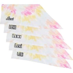 Frisco Tiedye Personalized Dog & Cat Bandana 15 Frisco Tiedye Personalized Dog & Cat Bandana -Frisco 267482 PT4. AC SS1800 V1632416499
