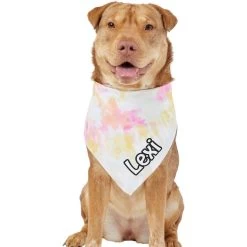Frisco Tiedye Personalized Dog & Cat Bandana 17 Frisco Tiedye Personalized Dog & Cat Bandana -Frisco 267482 PT6. AC SS1800 V1632428490