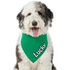 Frisco Solid Color Personalized Dog & Cat Bandana -Frisco 267489 PT6. AC SS1800 V1632418582