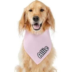 Frisco Solid Pastel Personalized Dog & Cat Bandana -Frisco 267514 PT6. AC SS1800 V1632417387