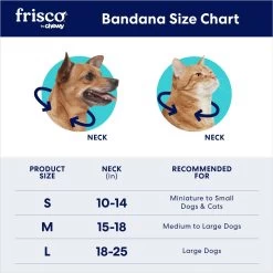 Frisco Bright Floral Personalized Dog & Cat Bandana -Frisco 267535 PT1. AC SS1800 V1696271457