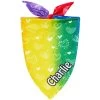 Frisco Rainbow Hearts Personalized Dog & Cat Bandana 2 Frisco Rainbow Hearts Personalized Dog & Cat Bandana -Frisco 267539 MAIN. AC SS1800 V1632683779