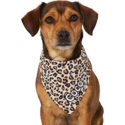 Frisco Leopard Print Personalized Dog & Cat Bandana 16 Frisco Leopard Print Personalized Dog & Cat Bandana -Frisco 267543 PT7. AC SS1800 V1623164552