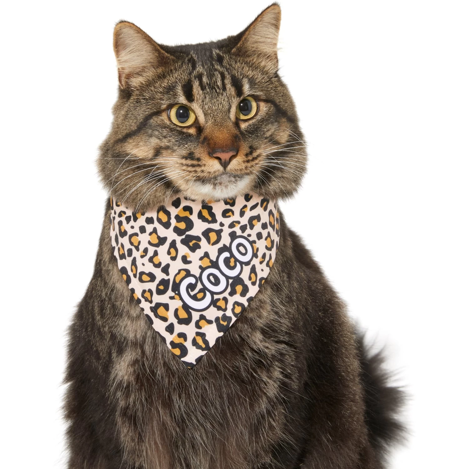 Frisco Leopard Print Personalized Dog & Cat Bandana 10 Frisco Leopard Print Personalized Dog & Cat Bandana - Image 8