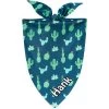 Frisco Cactus Personalized Dog & Cat Bandana -Frisco 267551 MAIN. AC SS1800 V1623093450