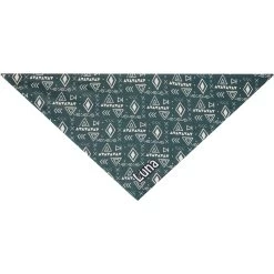 Frisco Boho Geo Personalized Dog & Cat Bandana -Frisco 267559 PT3. AC SS1800 V1623094369