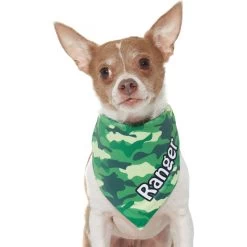 Frisco Green Camo Personalized Dog & Cat Bandana 16 Frisco Green Camo Personalized Dog & Cat Bandana -Frisco 267563 PT7. AC SS1800 V1623182085