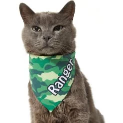 Frisco Green Camo Personalized Dog & Cat Bandana 17 Frisco Green Camo Personalized Dog & Cat Bandana -Frisco 267563 PT8. AC SS1800 V1623182074