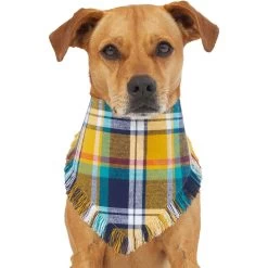 Frisco Blue/Yellow Plaid Dog & Cat Flannel Bandana -Frisco 267901 PT2. AC SS1800 V1637717796