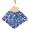 Frisco Fall Vibes Dog & Cat Bandana -Frisco 267913 MAIN. AC SS1800 V1637668587