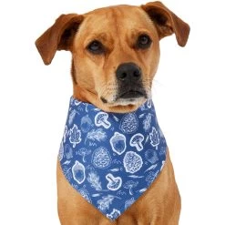 Frisco Fall Vibes Dog & Cat Bandana -Frisco 267913 PT2. AC SS1800 V1637722647