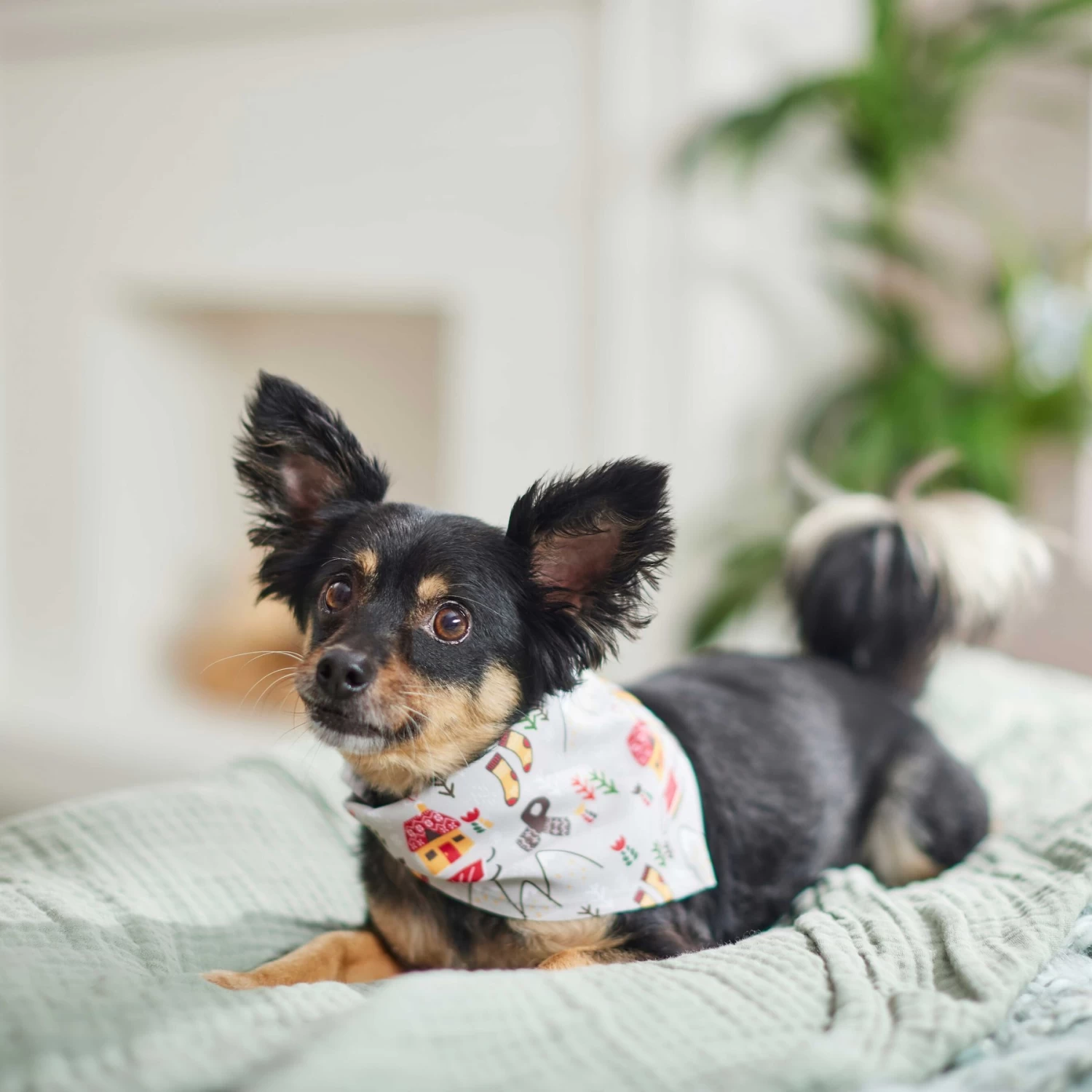 Frisco Wintry Vibes Dog & Cat Bandana 8 Frisco Wintry Vibes Dog & Cat Bandana - Image 6