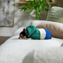 Frisco Colorblock Dog & Cat Hoodie With Sleeves -Frisco 267968 PT6. AC SS1800 V1637715446