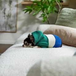 Frisco Colorblock Dog & Cat Hoodie With Sleeves -Frisco 267968 PT8. AC SS1800 V1629760135