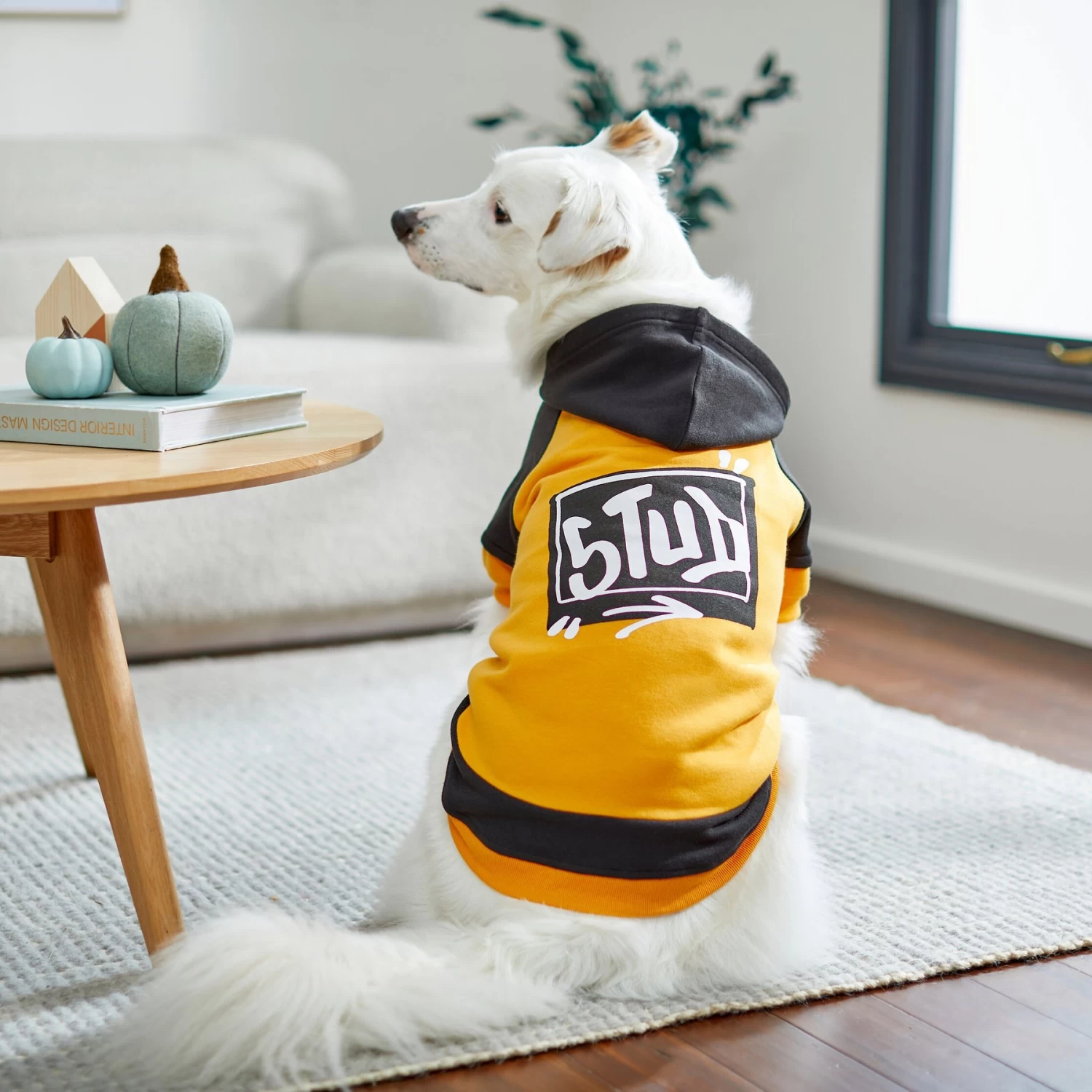 Frisco Stud Dog & Cat Hoodie 10 Frisco Stud Dog & Cat Hoodie - Image 8