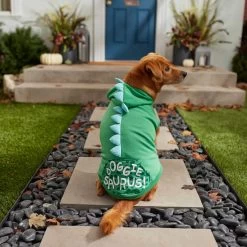 Frisco Doggiesaurus Dog & Cat Hoodie, Green 16 Frisco Doggiesaurus Dog & Cat Hoodie, Green -Frisco 268033 PT6. AC SS1800 V1637671011