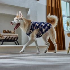 Frisco Lightweight Southwest Dog & Cat Polar Fleece Vest 15 Frisco Lightweight Southwest Dog & Cat Polar Fleece Vest -Frisco 268167 PT8. AC SS1800 V1629756292